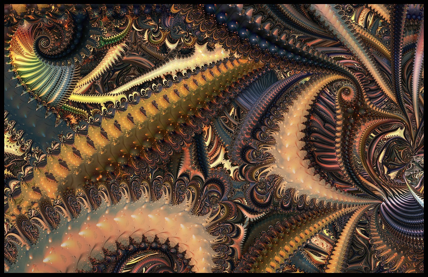 What Are Fractals